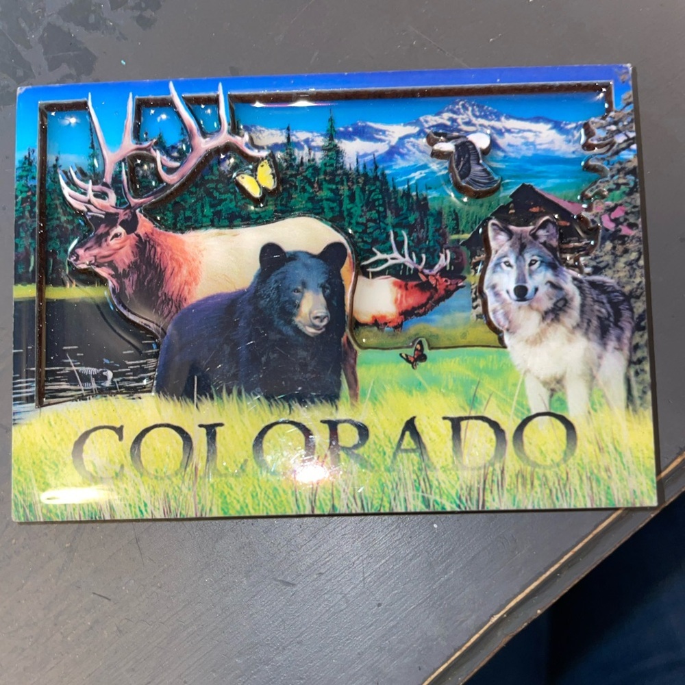 Colorado animals blue and green magnet 3.5 x 2.5